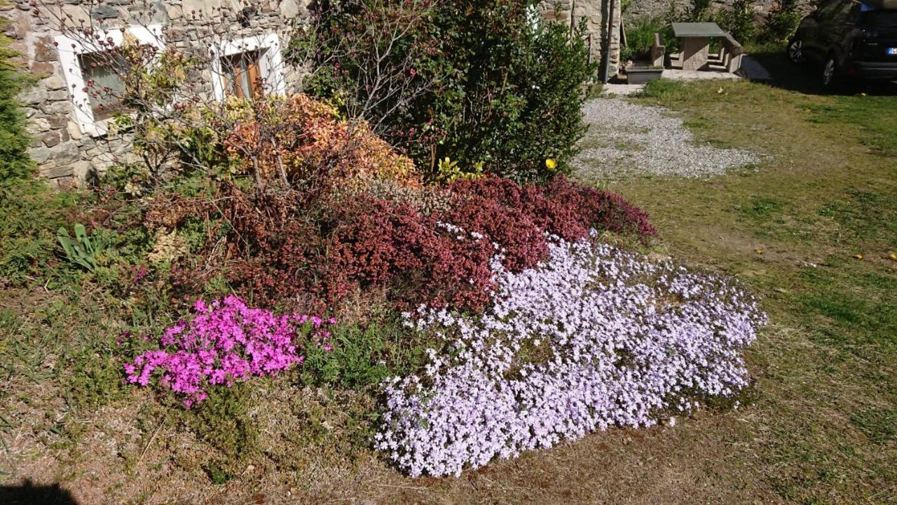 Vila Casa Delle Rose Teglio Exteriér fotografie