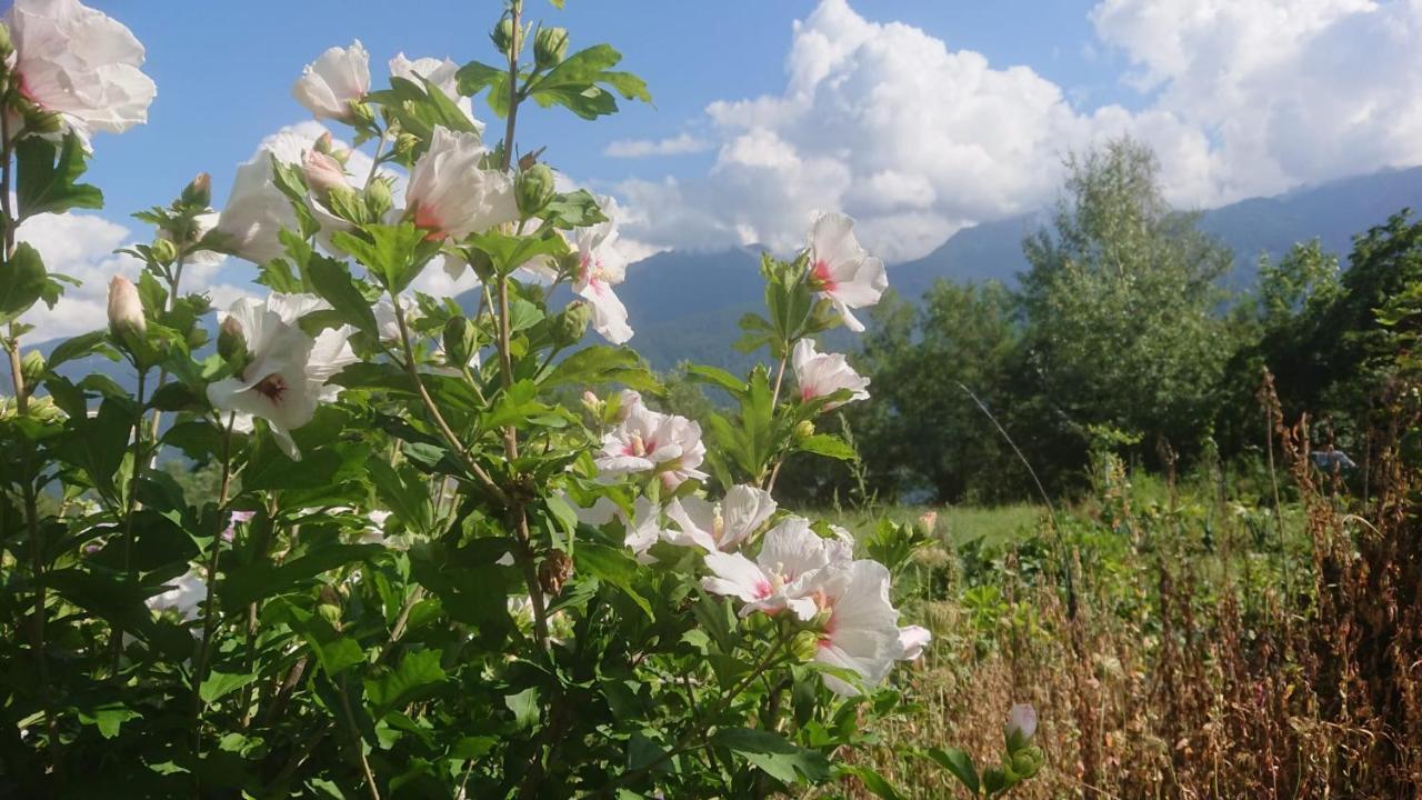 Vila Casa Delle Rose Teglio Exteriér fotografie