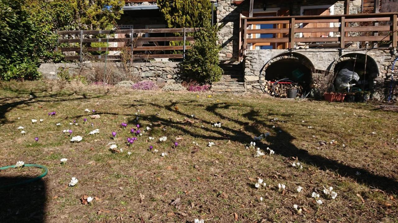 Vila Casa Delle Rose Teglio Exteriér fotografie