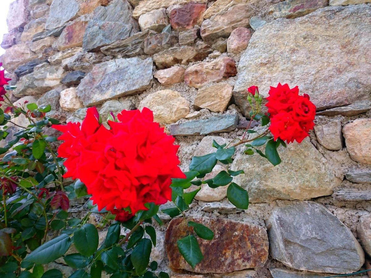 Vila Casa Delle Rose Teglio Exteriér fotografie