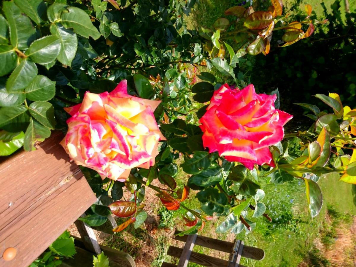 Vila Casa Delle Rose Teglio Exteriér fotografie